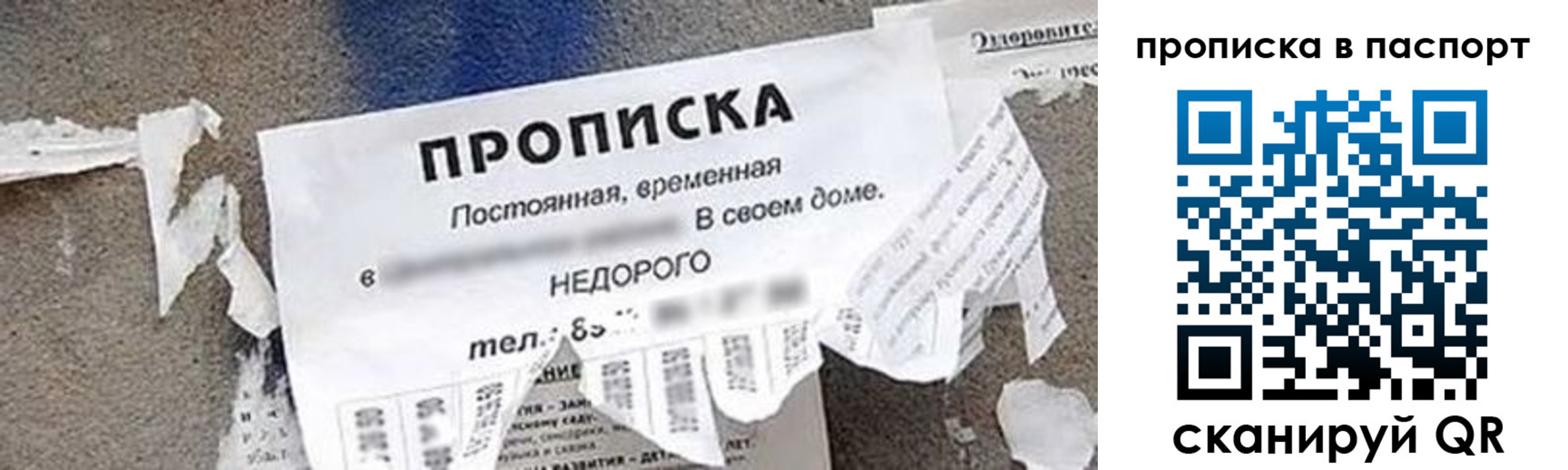 где прописаться в Полярных Зорях
